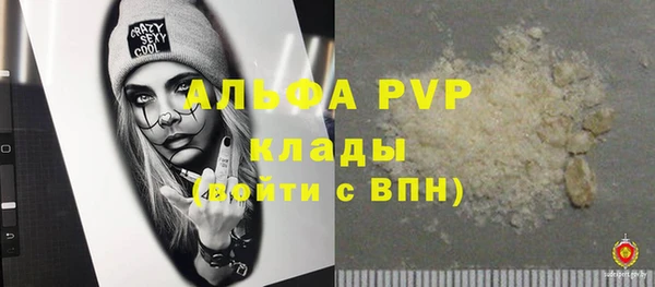 стаф Ладушкин