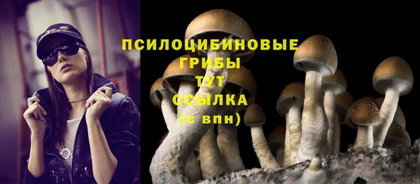 стаф Ладушкин