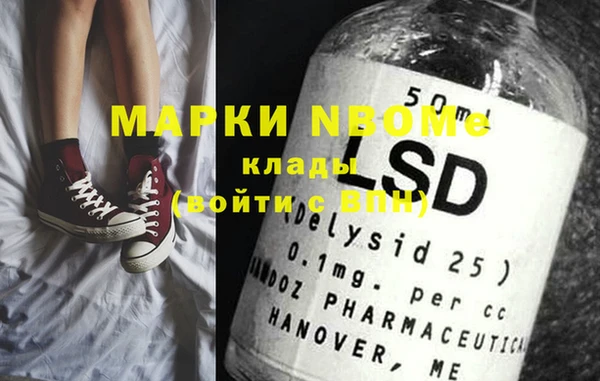 стаф Ладушкин