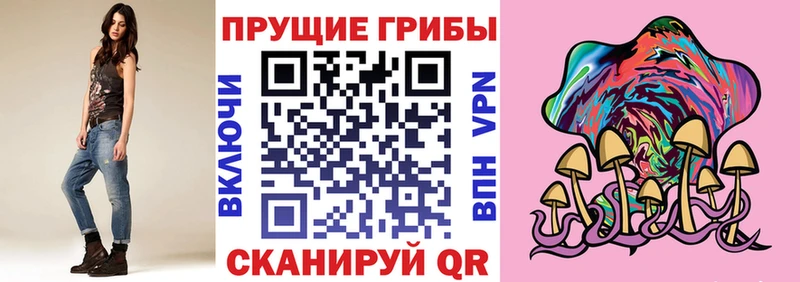 Псилоцибиновые грибы мицелий  Злынка 